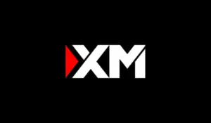 XM Group Profile